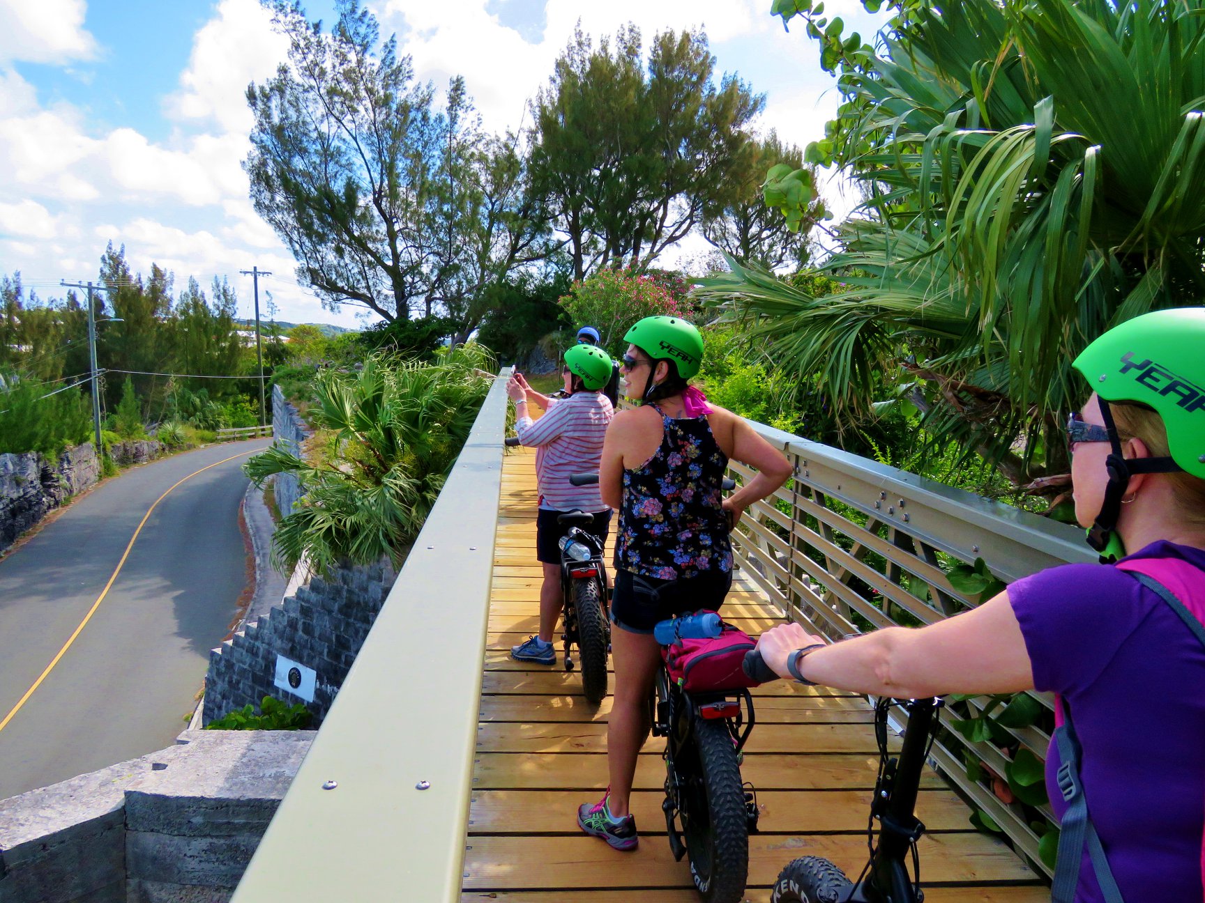 Cyclists with green helmets enjoying a scenic view from a wooden bridge surrounded by greenery.