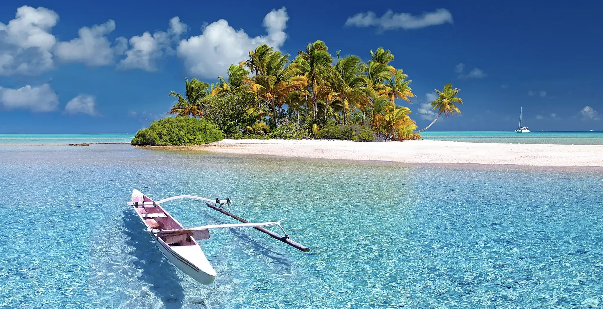 A small white canoe floating on crystal-clear turquoise water near a sandy beach lined with lush palm trees under a bright blue sky.